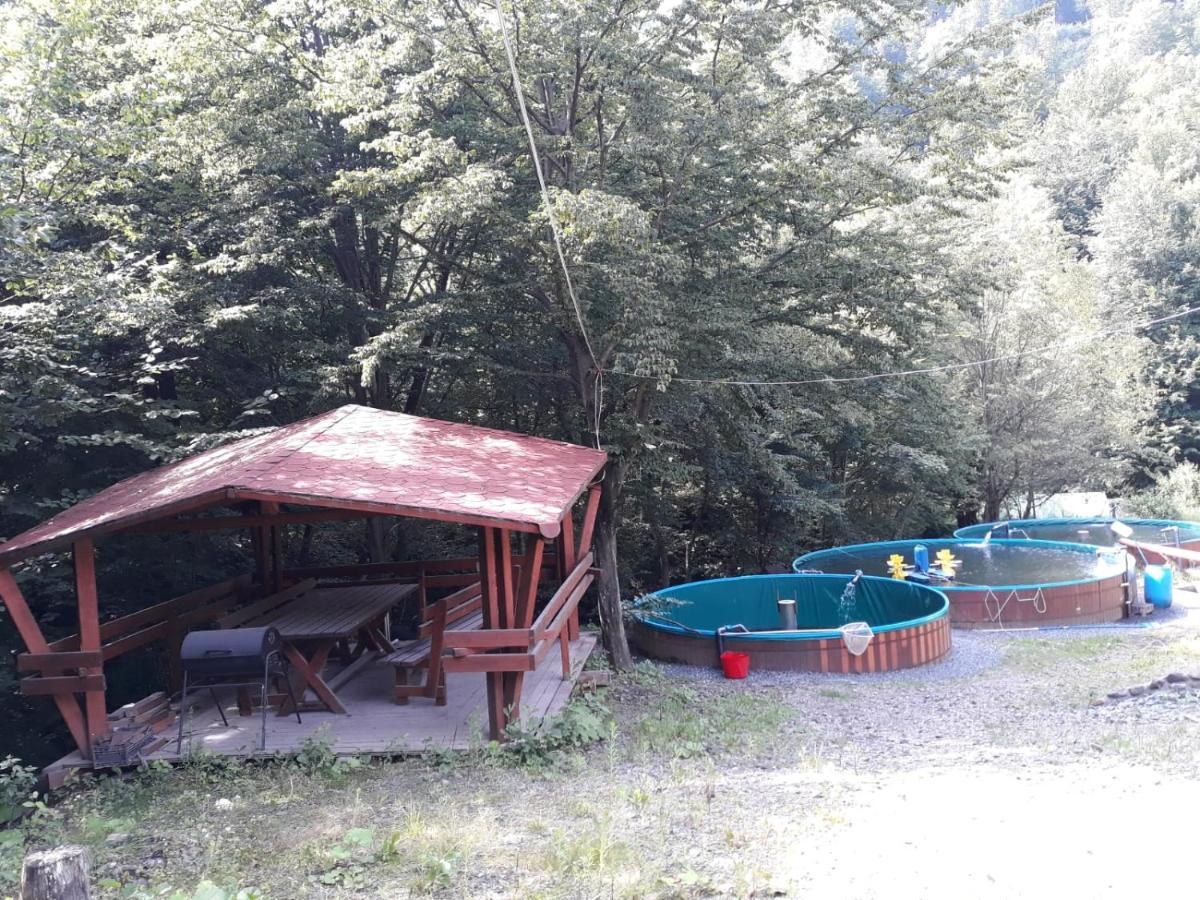 Cabana Alpha Бая-Маре Екстер'єр фото