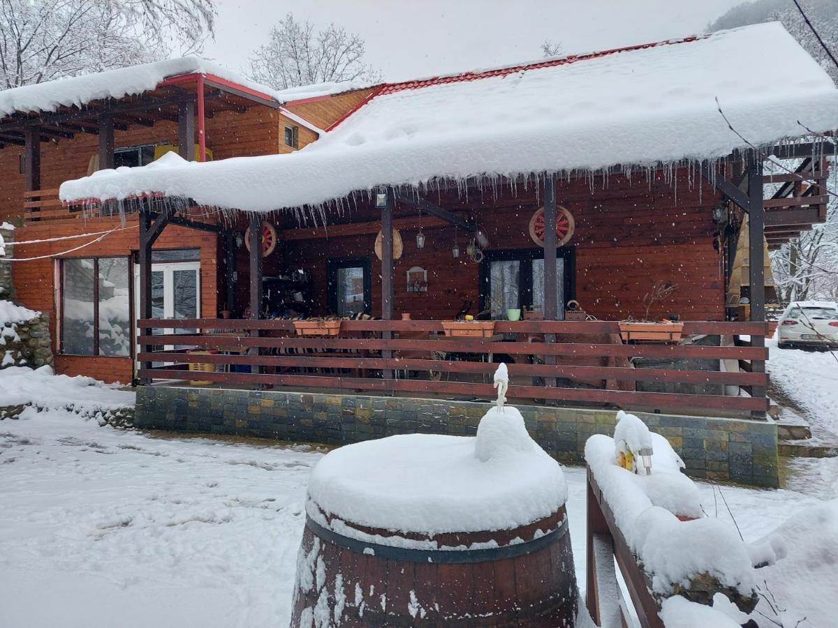 Cabana Alpha Бая-Маре Екстер'єр фото
