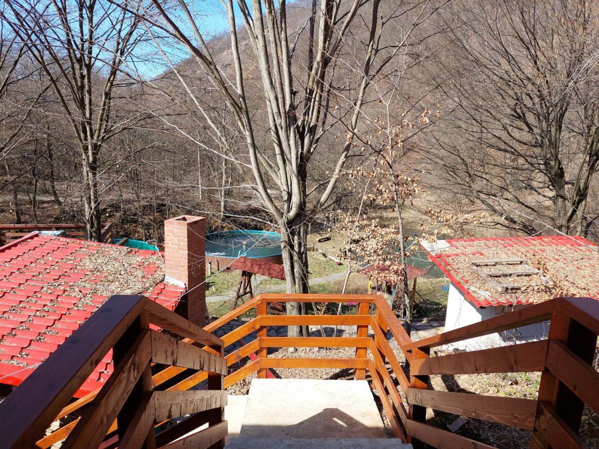 Cabana Alpha Бая-Маре Екстер'єр фото